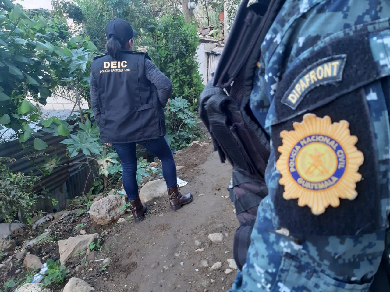 agentes8 | 