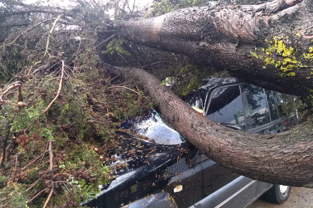 CVB arboles Quetzaltenango clima lluvia Emisoras Unidas Guatemala, 