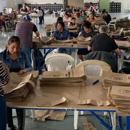 material electoral5 ,