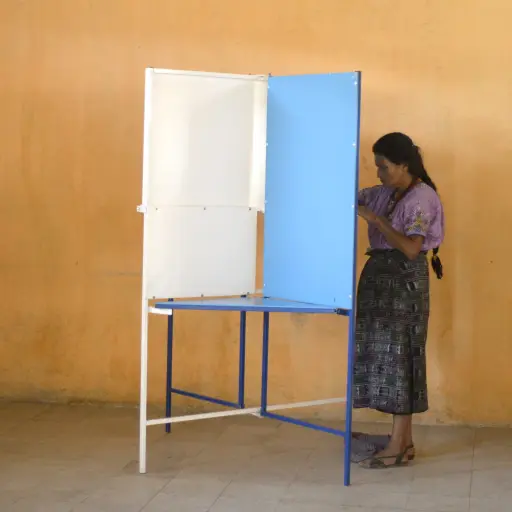 Voto Publinews (4) centro de votación elecciones ,