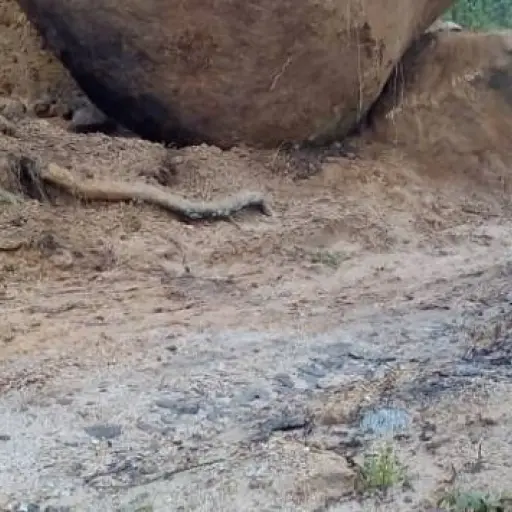 El incidente provocó que los vehículos circularan por un carril.