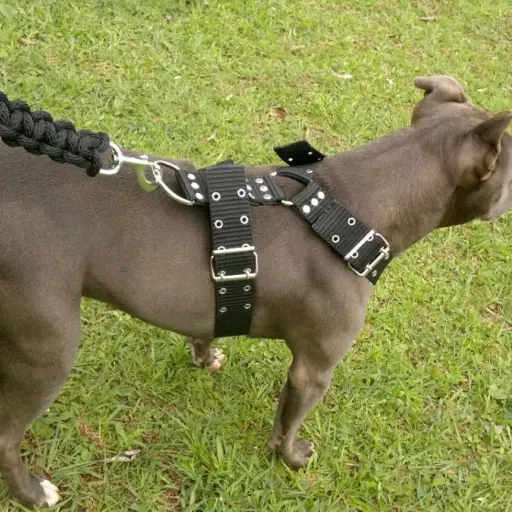 combo-pitbull-y-razas-fuertes-collar-correa-y-pechera-D_NQ_NP_631801-MLA20408472376_092015-F ,