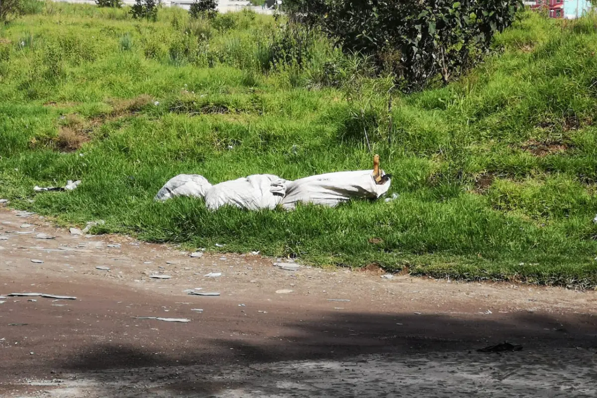 Perros muertos en Quetzaltenango