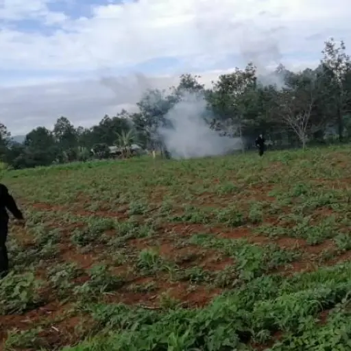 Incidentes en Quiché