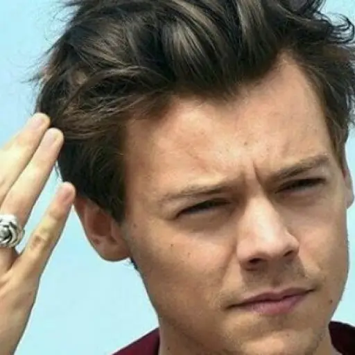 Harry Styles