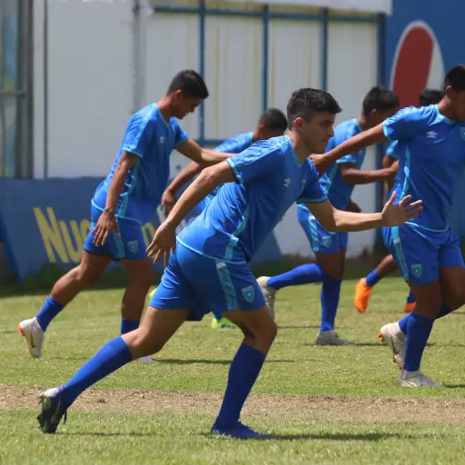 48293219701_def1f17596_k ,