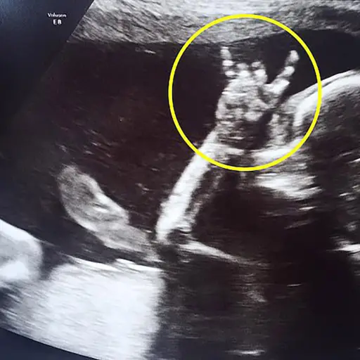 rock-music-baby-ultrasound-sign-horns ,