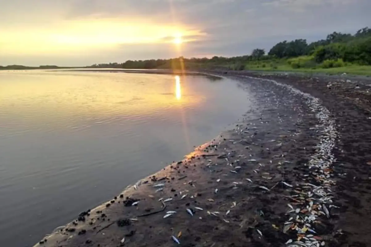 peces muertos Tejocate Nueva Concepción Escuintla Emisoras Unidas Guatemala, 