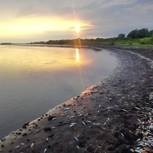 peces muertos Tejocate Nueva Concepción Escuintla Emisoras Unidas Guatemala ,