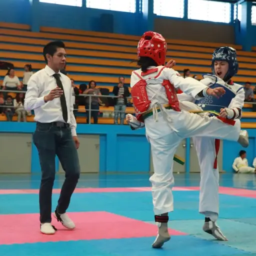 Taekwondo Nacional 2019 (5) ,
