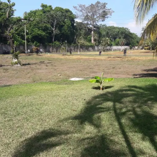 extincion de dominio caso patrullas Emisoras Unidas Guatemala ,