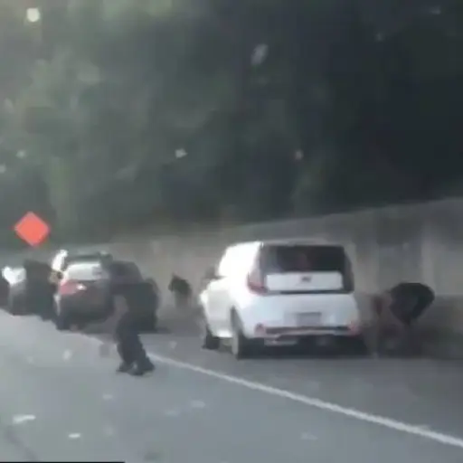 El hecho ocurrió en Estados Unidos