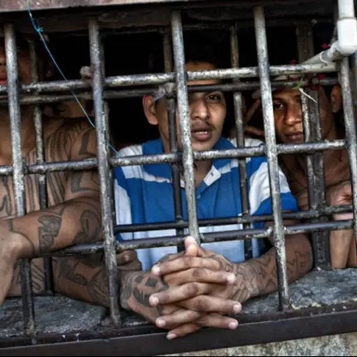 El Salvador alista plan para que presos produzcan su propia comidaFoto con fines ilustrativos 