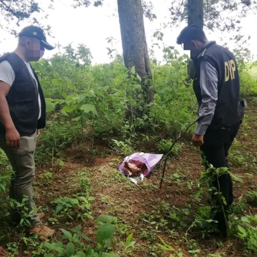 WhatsApp Image 2019-07-01 at 13.44.19 (1) ,