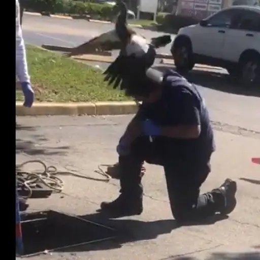 El hecho ocurrió en un poblado de Florida.