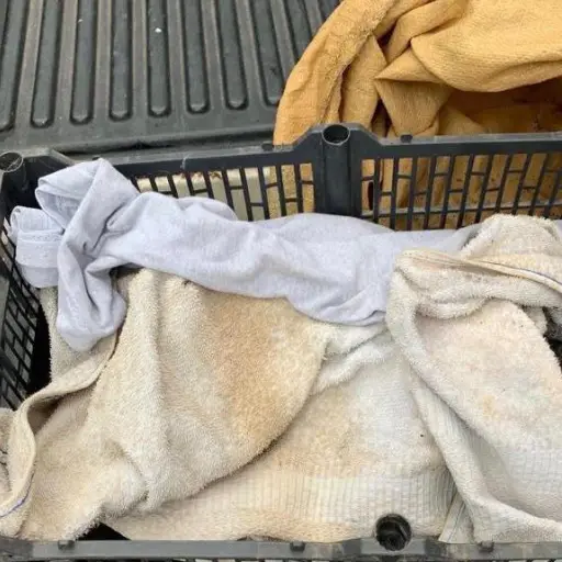 El hecho ocurrió en San Martín Zapotitlán.