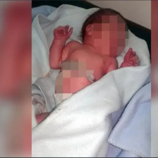 perro de la calle bebé ,