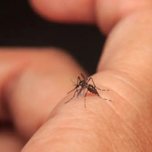 dengue Emisoras Unidas Guatemala ,