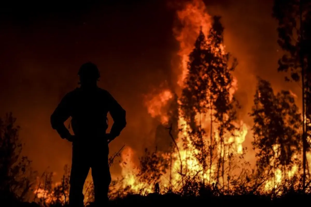 A firefighter monitors the progression of a wildfire at Amendoa in Macao, central Portugal on July 21, 2019. - More than a thousand firefighters battled to control wildfires in central Portugal that have forced village evacuations, in a region where dozen