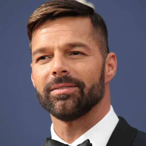 ricky martin ,