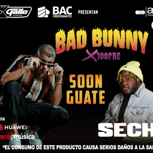 gt_momentos_bad_bunny-03 ,