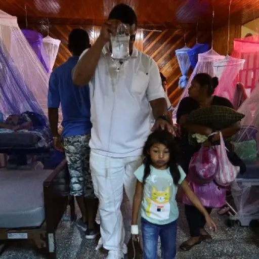 OPS advierte por incremento de casos de dengue en Latinoamérica. Foto: AFP