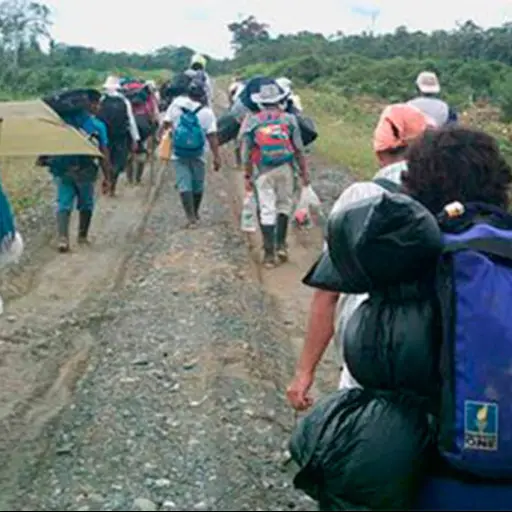 Más de siete mil 400 desplazados por la violencia desde 2016 en Honduras