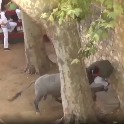 Esta persona fue trasladada a un hospital y fue operado.