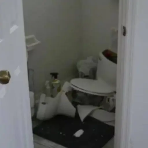 El sanitario quedó casi destruido.