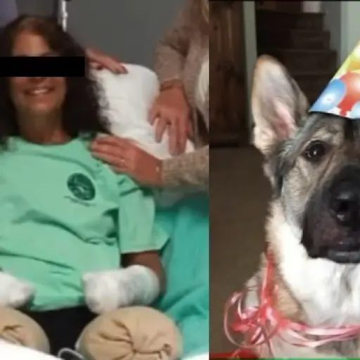 mujer-le-amputaron-piernas-y-brazos-su-perro-la-lamio-y-la-infecto-con-bacteria ,