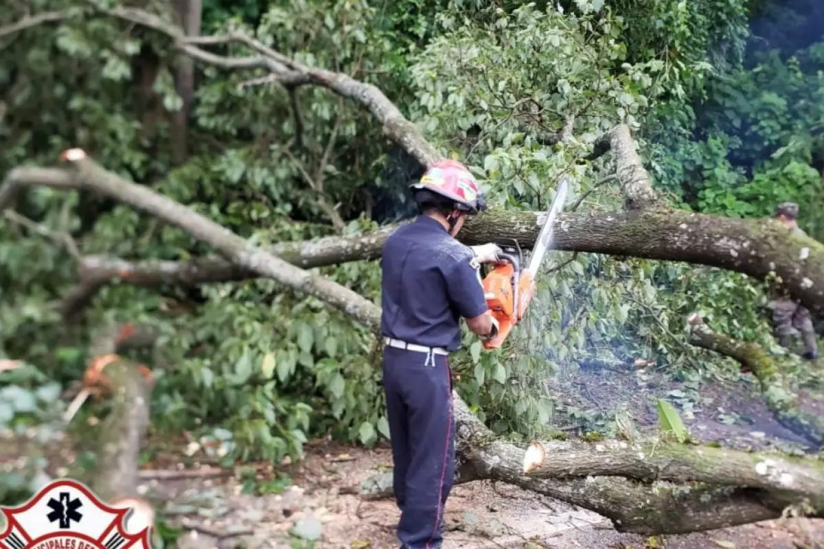 Bomberos retiran árbol caído en carretera entre Antigua y San Lucas, 