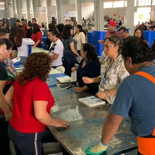 embalaje papeletas tse ,