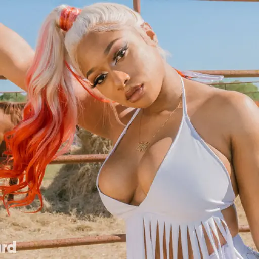 Megan-Thee-Stallion-bb10-2019-chartbreaker-billboard-cyakjhtry-1548 ,