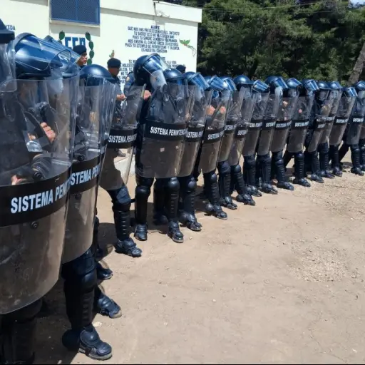 AGENTES PENITENCIARIOS ,