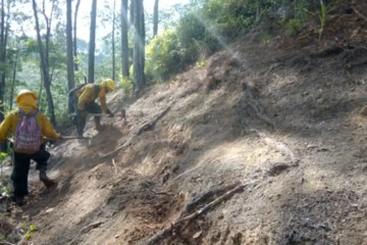 incendio petén, 