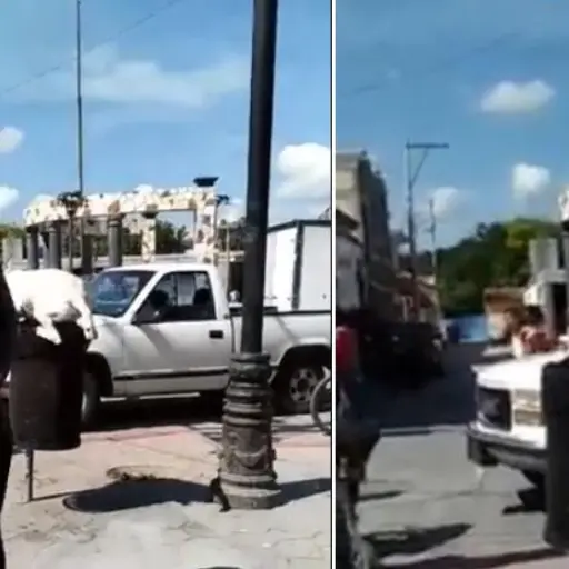 corta la cola a perro ,