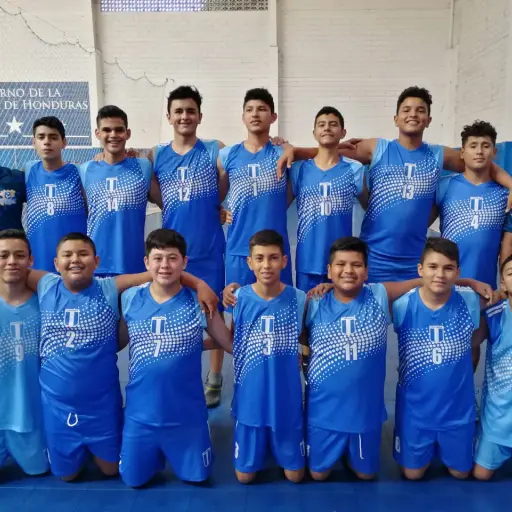 voleibol masculino ,