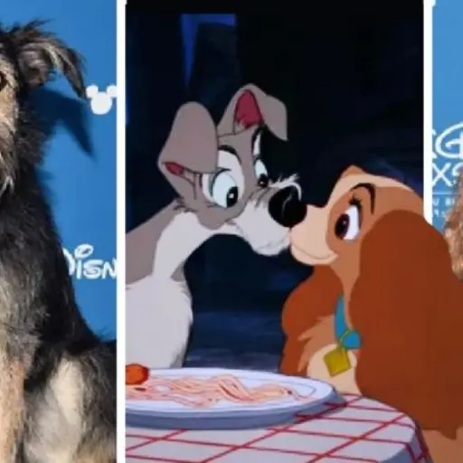 La dama y el vagabundo ,