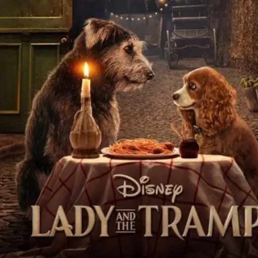 Palco Quintanarroense.