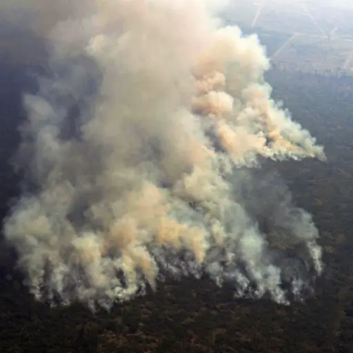 Aerial picture showing smoke from a two-kilometre-long stretch of fire billowing from the Amazon rainforest about 65 km from Porto Velho, in the state of Rondonia, in northern Brazil, on August 23, 2019. - Bolsonaro said Friday he is considering deploying