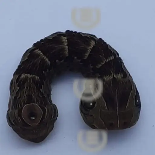 Foto: Emisoras Unidas Quiché. 