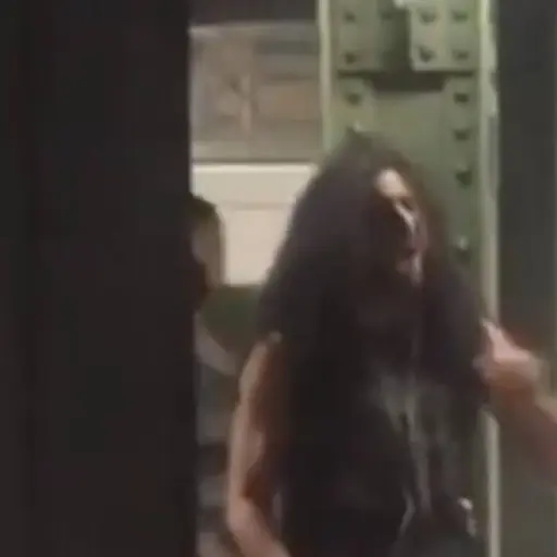 Todo ocurrió en el metro de Nueva York.