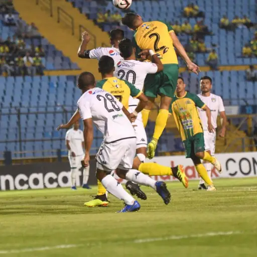 392ee27a-4796-45fc-9d62-a38a76d9f8ed ,