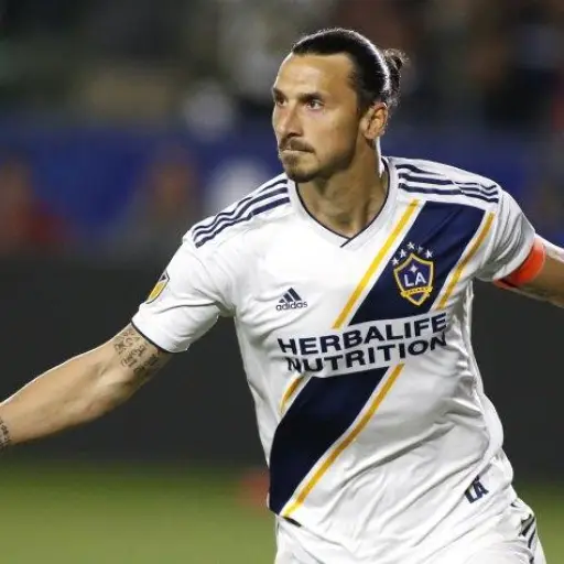 Zlatan Ibrahimovic ,