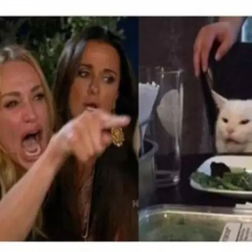 Gato memes ,