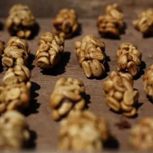 02civets-coffee.adapt.590.1 ,