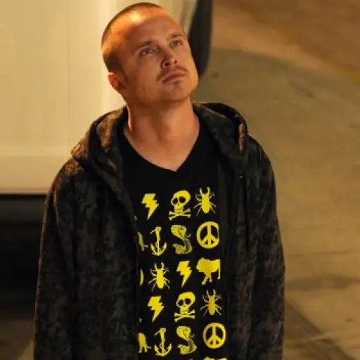 BreakingBadJessePinkman-625x352 ,