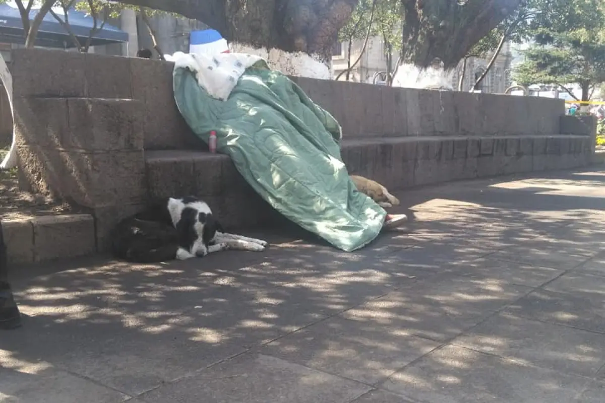 perros Quetzaltenango Emisoras Unidas Guatemala, 