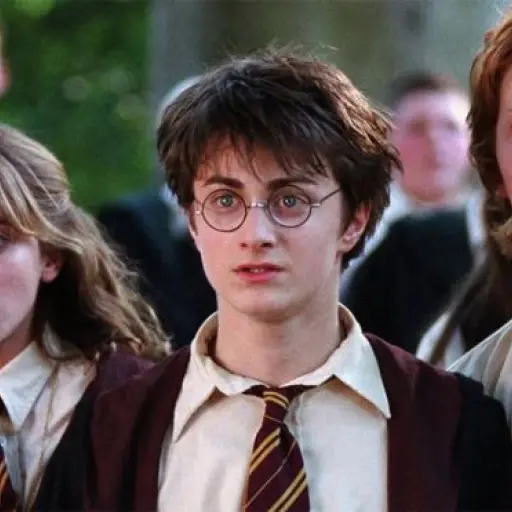 _95713229_23284f8e-3a4e-4fef-b2c7-52ddcd9f7011 ,