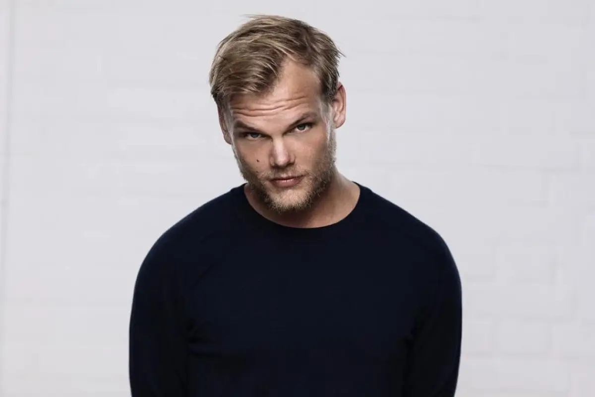 Avicii, 